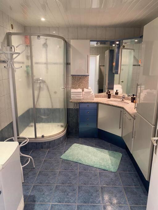 Apartment 100m2 3chambres 5km Du Carnaval De Basel Free Wifi Huningue